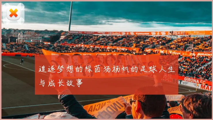 追逐梦想的绿茵场杨帆的足球人生与成长故事