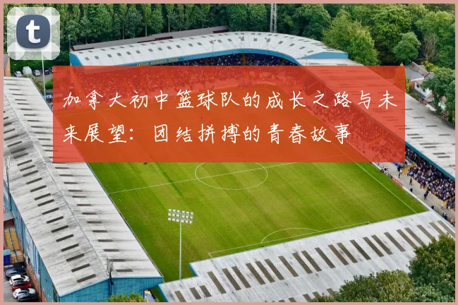 加拿大初中篮球队的成长之路与未来展望：团结拼搏的青春故事