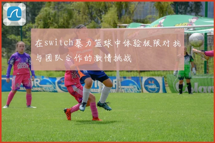 在switch暴力篮球中体验极限对抗与团队合作的激情挑战