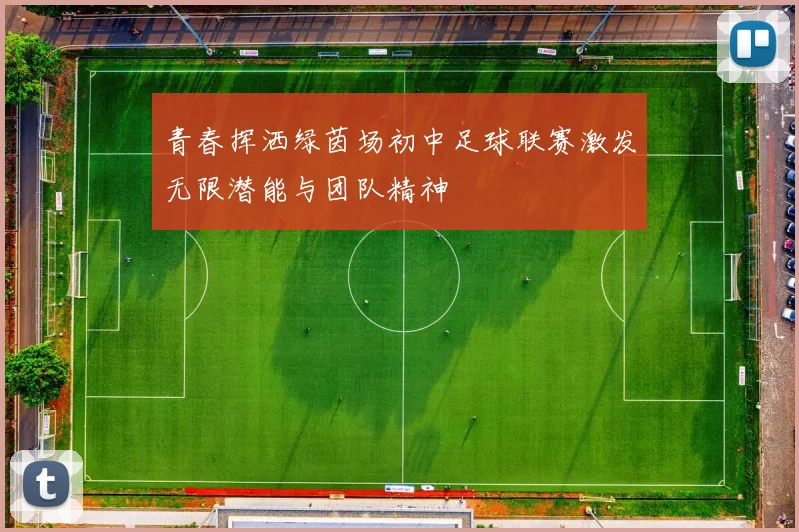青春挥洒绿茵场初中足球联赛激发无限潜能与团队精神