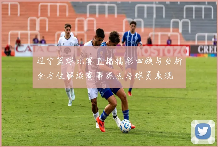 辽宁篮球比赛直播精彩回顾与分析全方位解读赛事亮点与球员表现